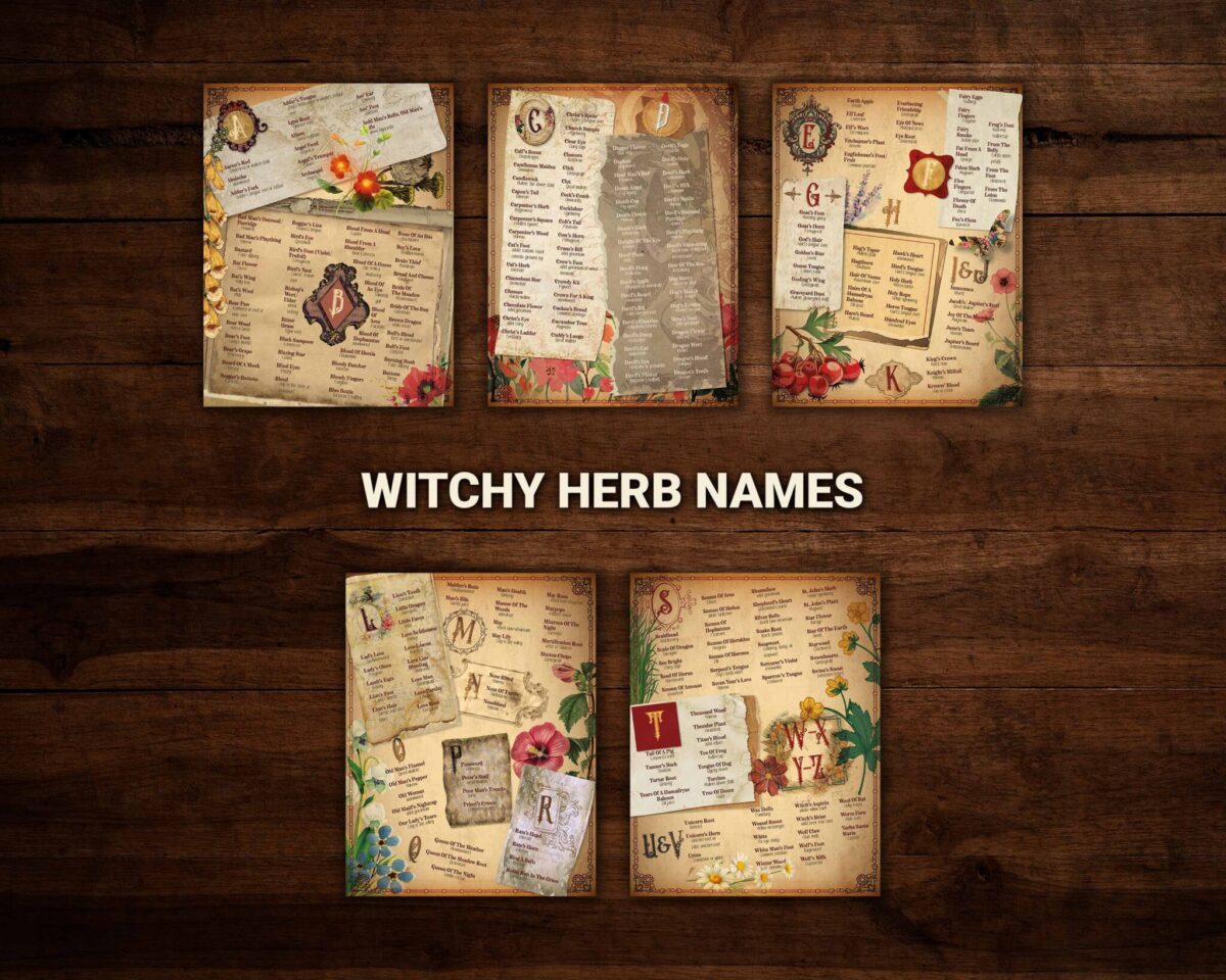 Digital witchy herb names decoded.