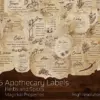 Herb & Spices v1 Apothecary Label Set 45 Printable