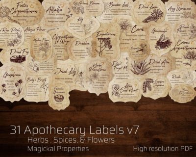 31 Witchy herbal jar labels, tags, stickers