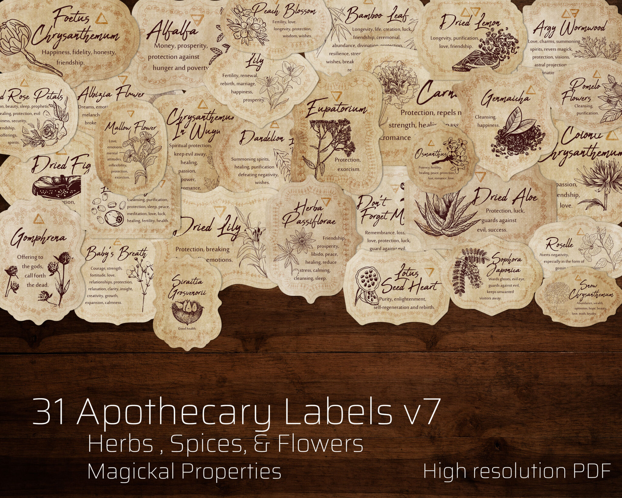 Jar Labels Herb & Spices v7 Apothecary Labels - MagikCharms