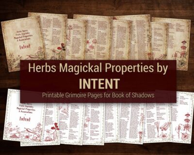 Herbs magickal properties by intent for spells, potions and rituals