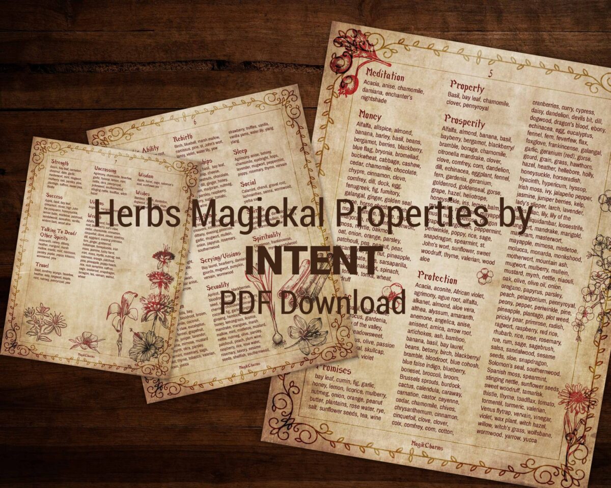 Herbs and spices magickal uses in witchcraft by intention